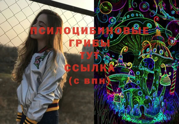 PSILOCYBIN Вязьма