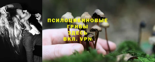 альфа пвп Пестово