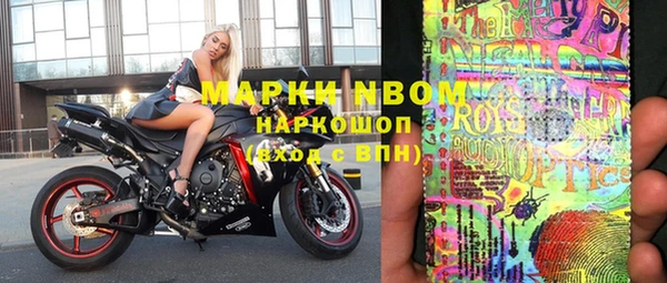 индика Покров