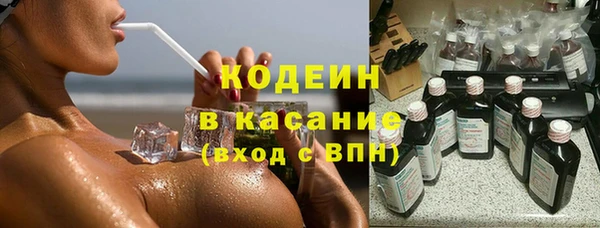 индика Покров