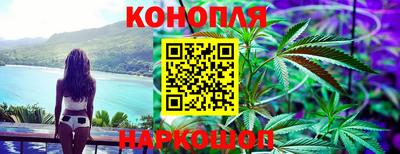 гашик Заводоуковск