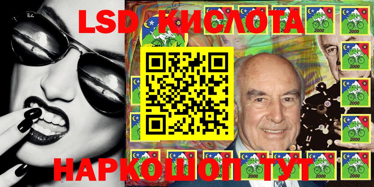 APVP Камышин