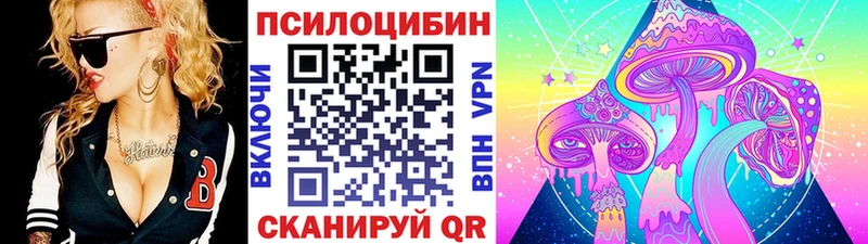 Галлюциногенные грибы Psilocybine cubensis  Камышин 