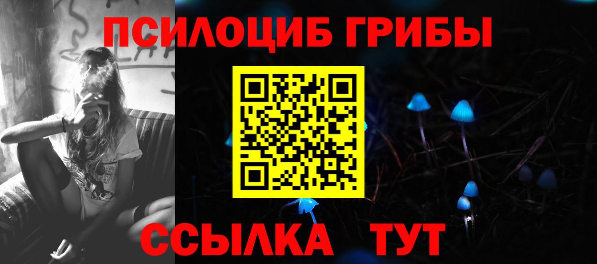Камышин  Галлюциногенные грибы ЛСД  Вход с VPN 