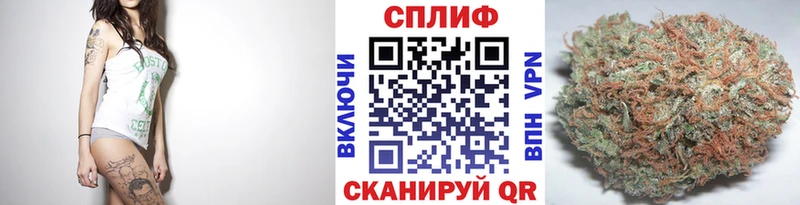 МАРИХУАНА конопля  Камышин 
