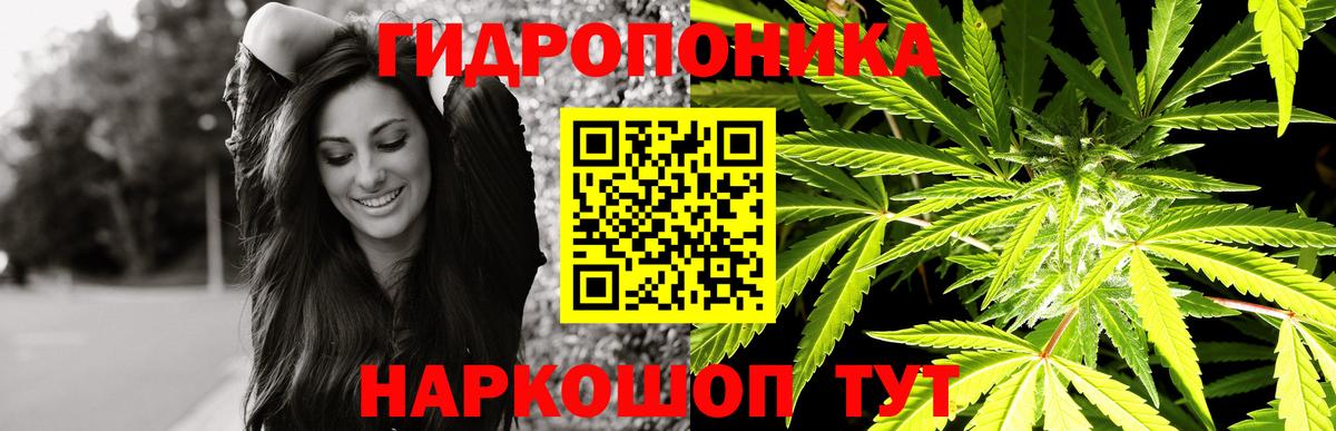 Канабис конопля  Вход с VPN  Камышин  Бошки марихуана планчик  Бошки Шишки White Widow 